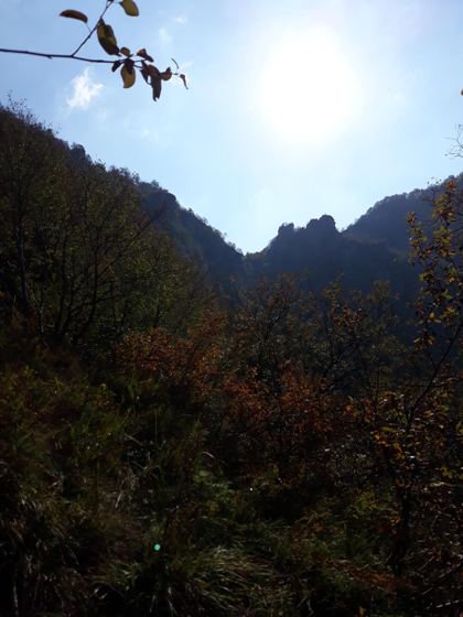 Fotografia 1