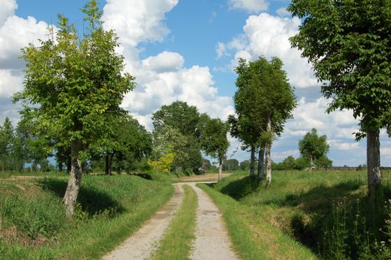 Fotografia 5