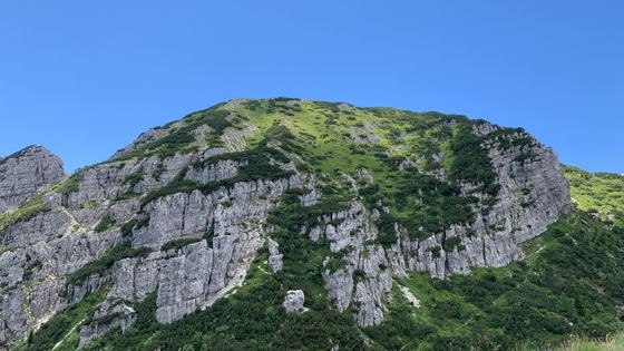 Fotografia 1