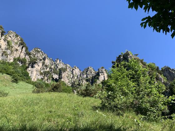Fotografia 7