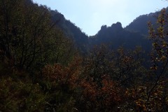 varie-2018-19-509