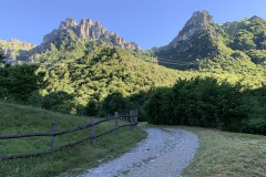IMG_0625