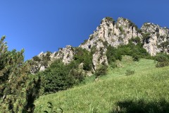IMG_0635