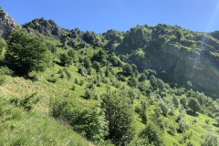 IMG_0642