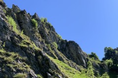 IMG_0651