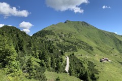 IMG_0652
