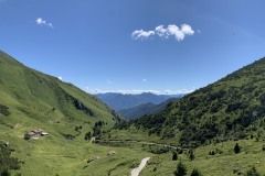 IMG_0653