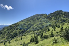 IMG_0654