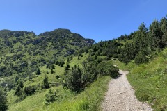 IMG_0655
