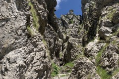 IMG_0663