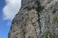IMG_0679