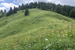 IMG_0684