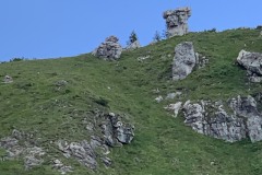 IMG_0685