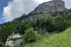 IMG_0687